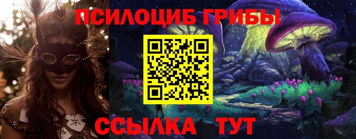 Галлюциногенные грибы мухоморы Нижнеудинск